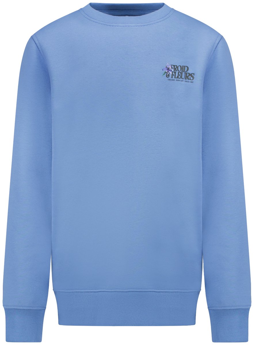 Cars Jeans Sweater Froy jr. -