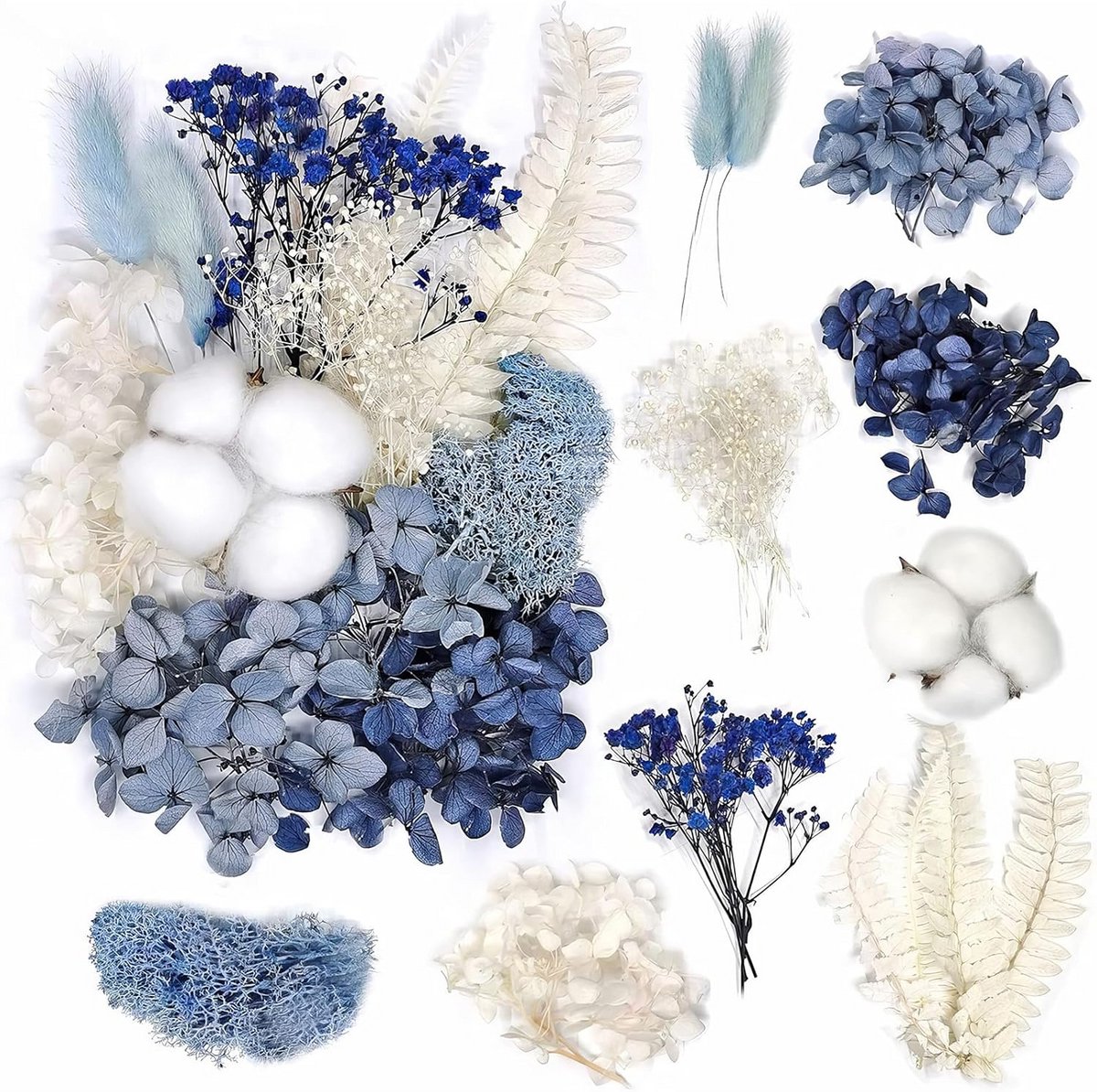 Set van Gemengde Natuurlijke Droogbloemen voor Hars, Knutselen en Scrapbooking