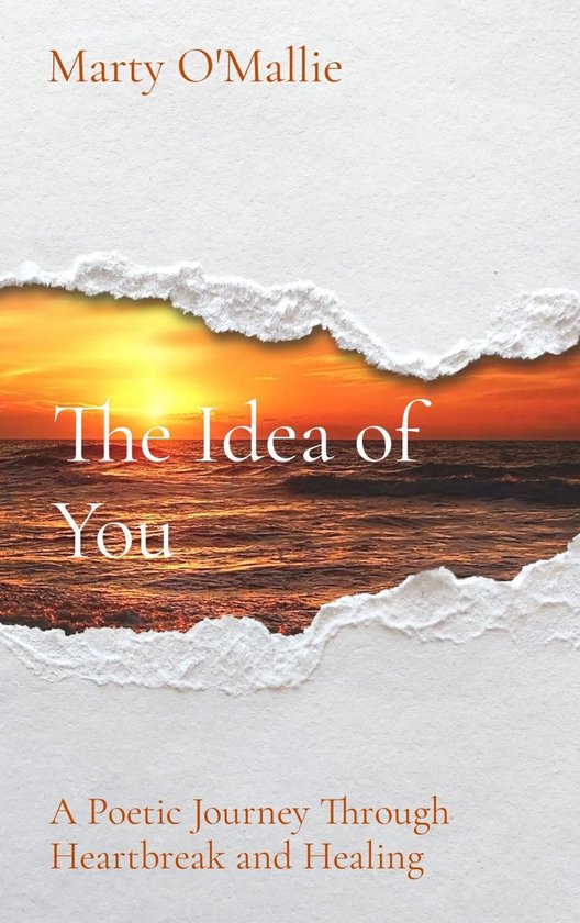 The Idea of You - cover