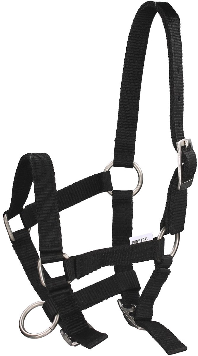 Q-essentials Veulenhalster Q-essentials Mini Zwart