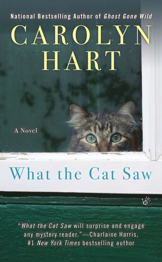 What the Cat Saw - cover