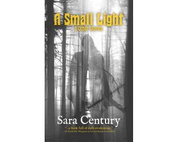 A Small Light & Other Stories