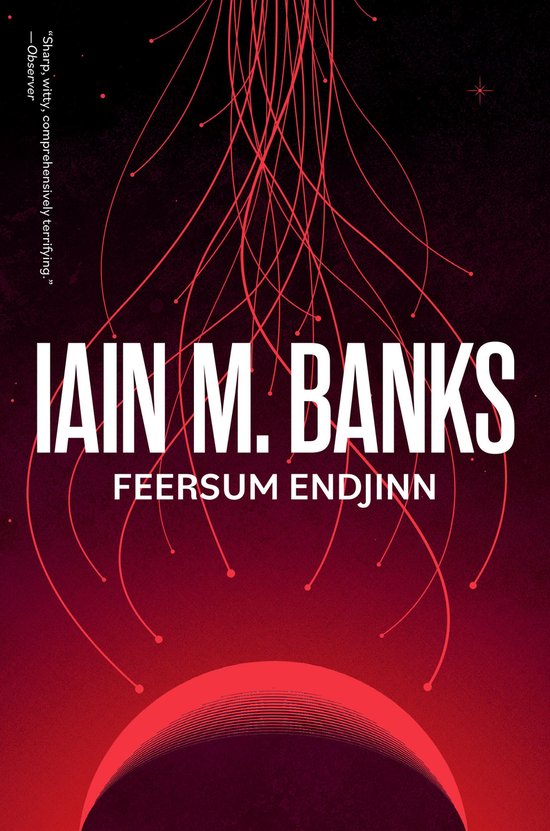 Feersum Endjinn - cover