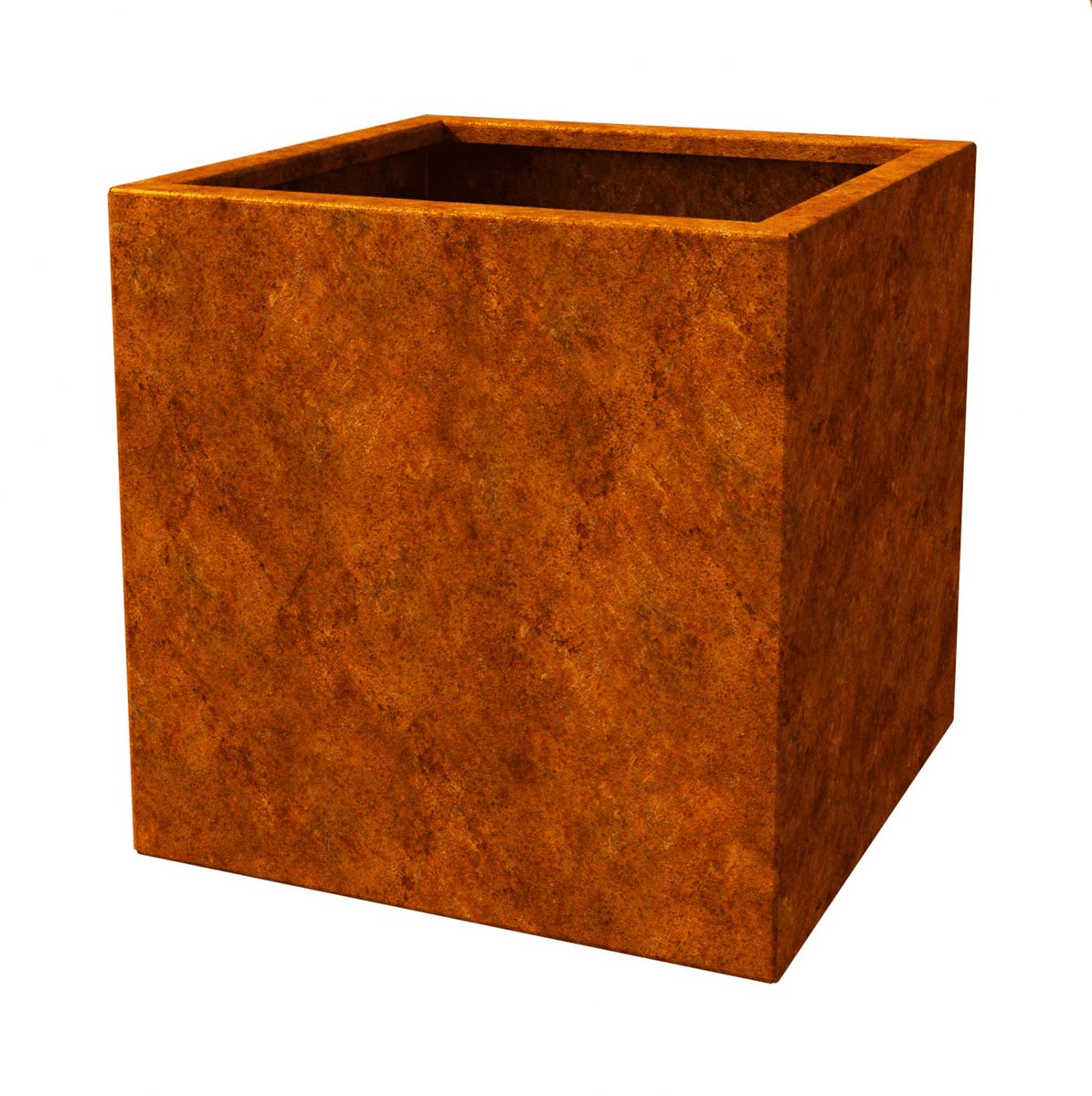 FOREST STYLE 004900