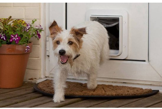 Een witte hond met bruine vlekken loopt naar buiten door een wit huisdierluik.