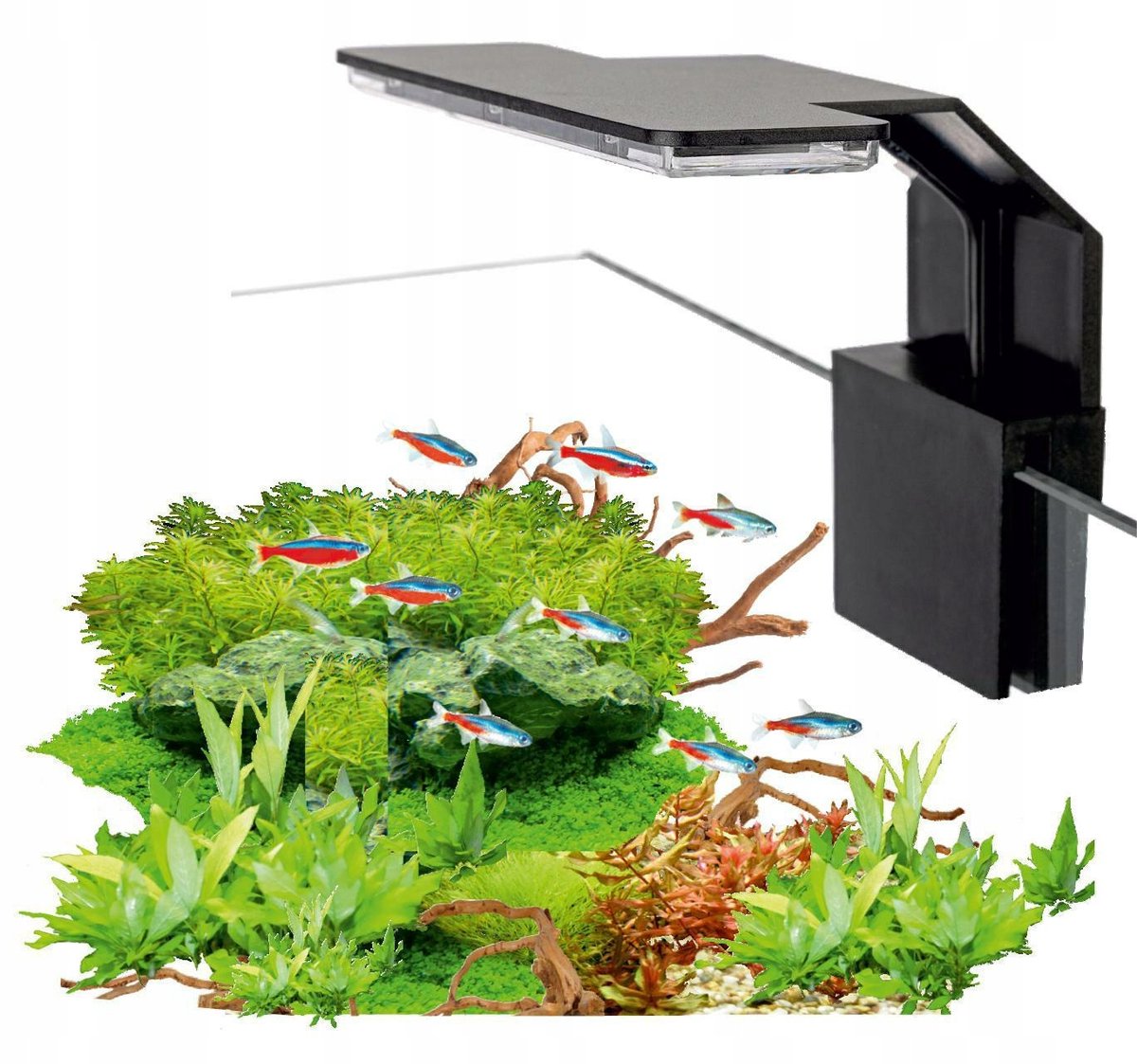 AquaLED Mini Zwarte Aquariumlamp 6W rond 20-30cm Tanks