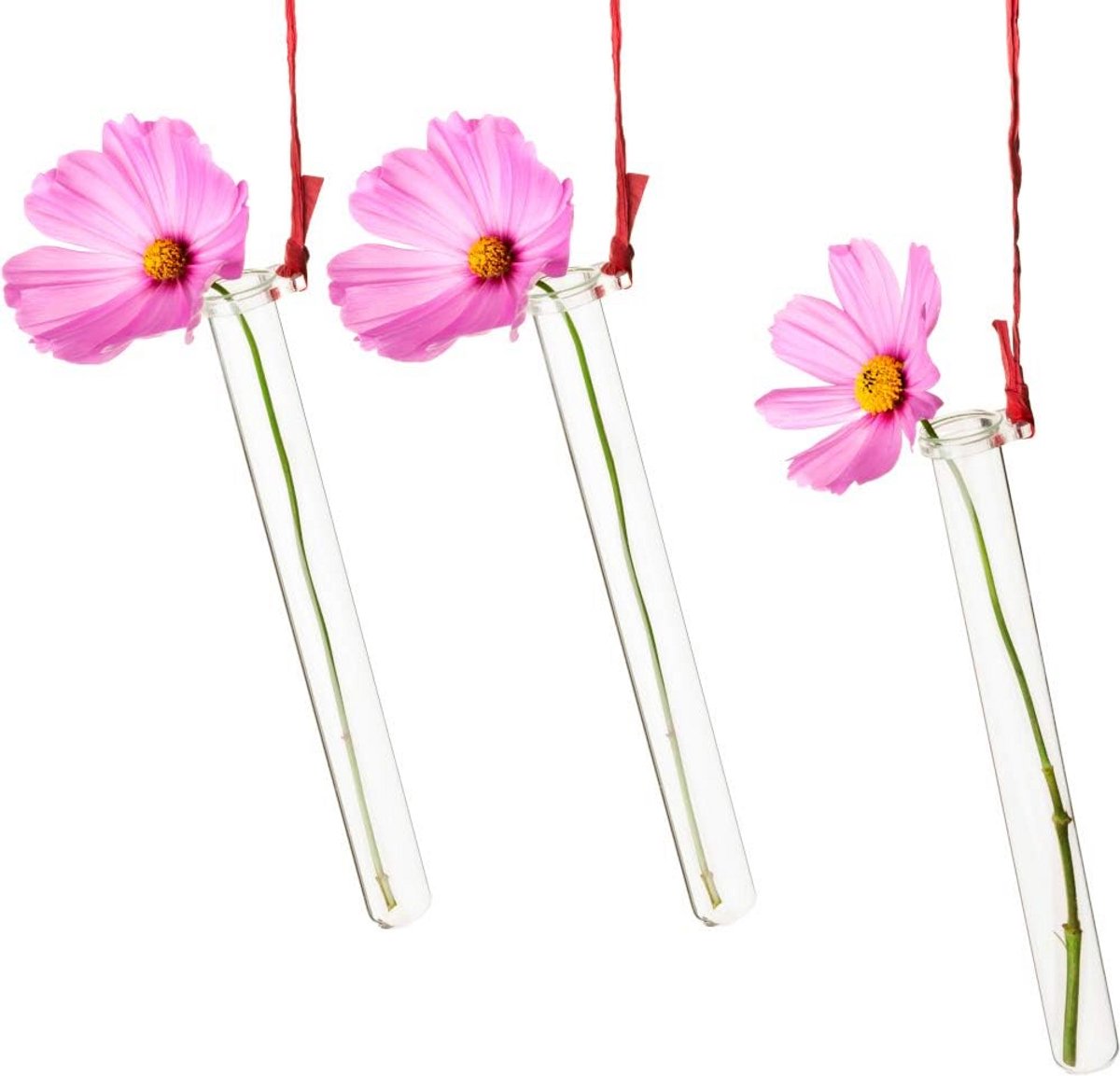 25 Set Reageerbuis Houders met Glazen Vaasjes voor Bloemen