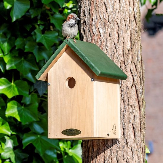 CJ Wildlife Nestkast - Aanbevolen door de Vogelbescherming Nederland - Malta - Nestkastje voor o.a. Koolmees, Boomklevers & Mussen - Houten Vogelhuisje - FSC-gecertificeerd