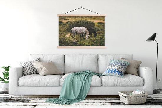 Porte-affiche avec affiche - Affiche scolaire - Paarden - Herbe - Buisson - 120x80 cm - Lattes vierges