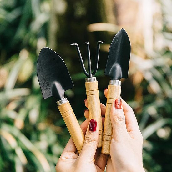 Mini Tuinset Met Schep en Hark - 3 Delige Roestvrijstalen Handgereedschap voor Bonsai en Kleine Planten van Merkloos	 — afbeelding 3