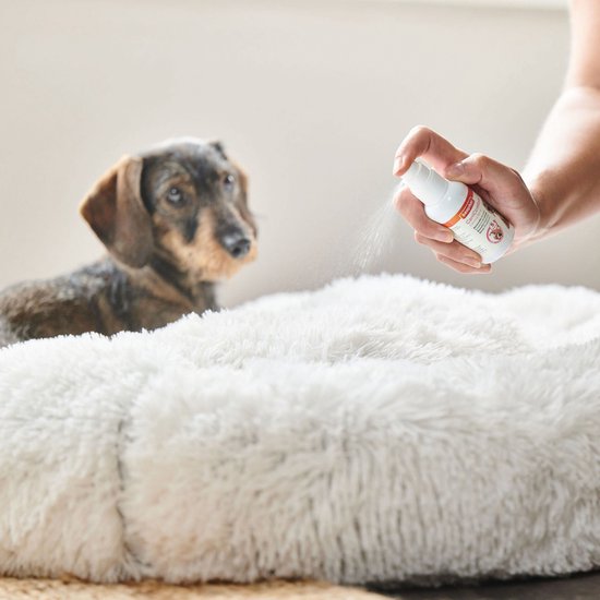 Beaphar CaniComfort® Kalmerende spray 60ml