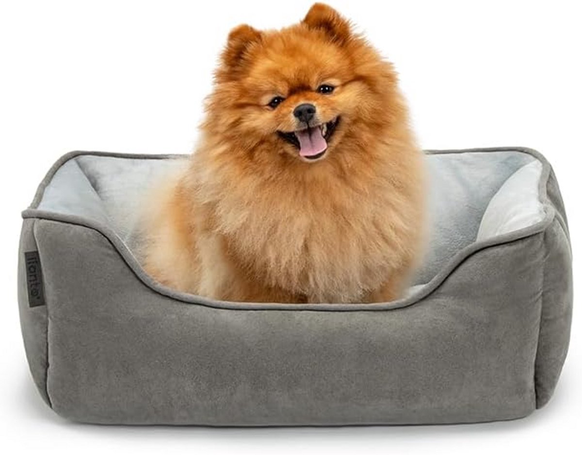 2-in-1 Omkeerbaar Hondenbed met Lage Instap voor Hond en Kat (S)