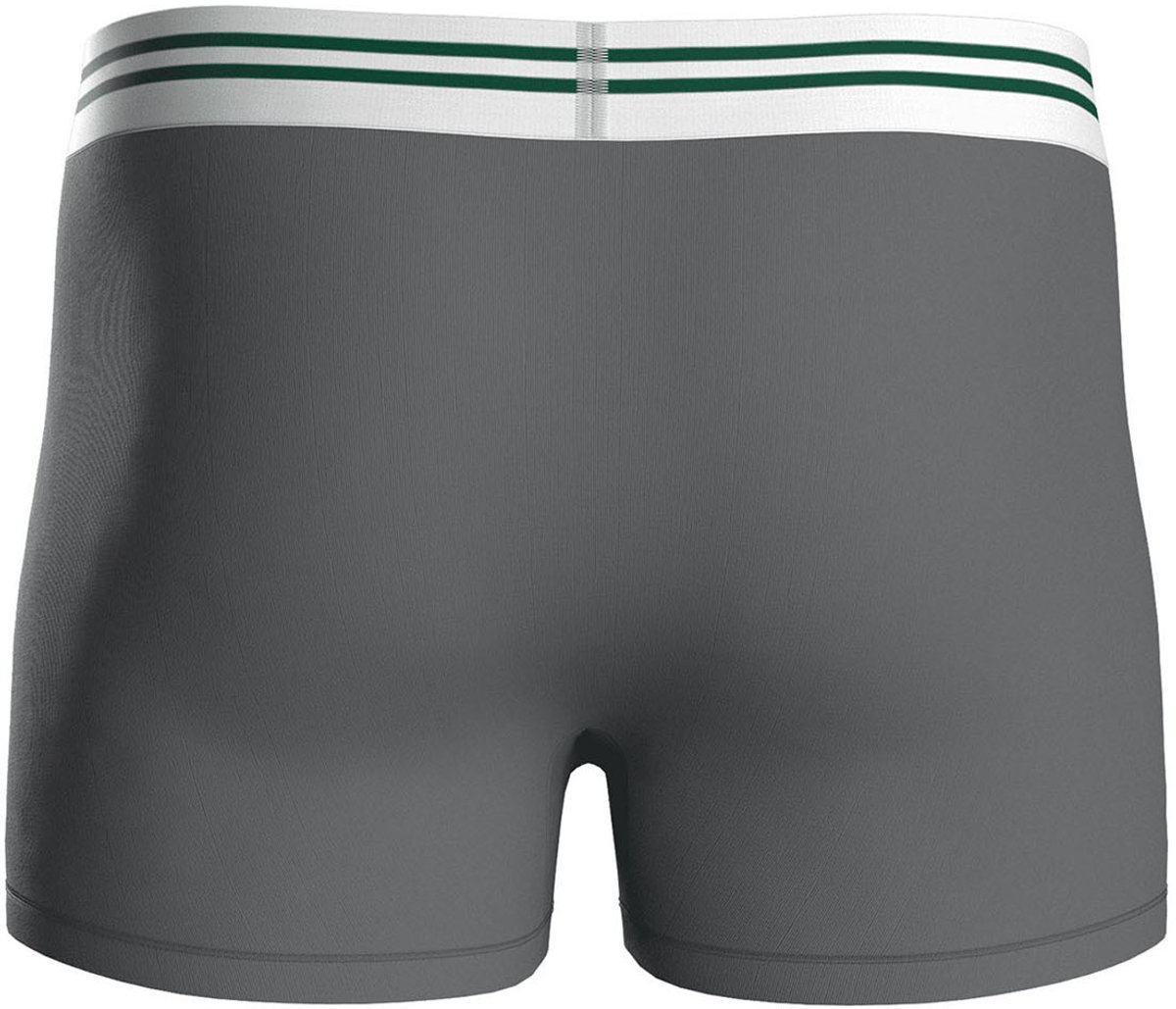 Huddle Boxer NY Jets