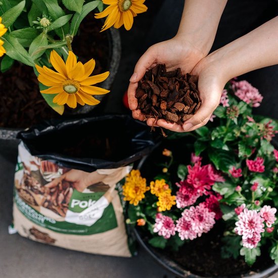 Bovenaanzicht van een persoon die Pokon boomschors vasthoudt, met een zak, bloemen en potten.
