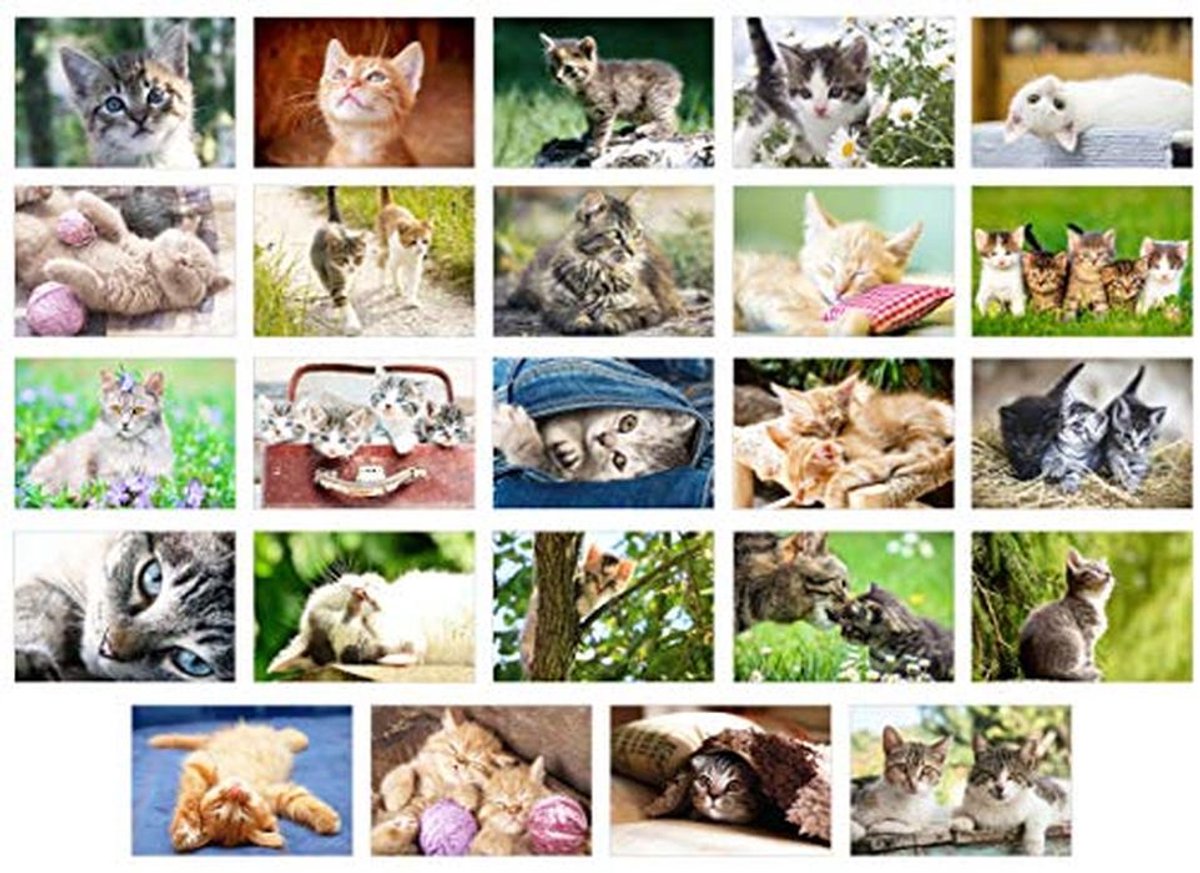 Set van 48 ansichtkaarten met katten