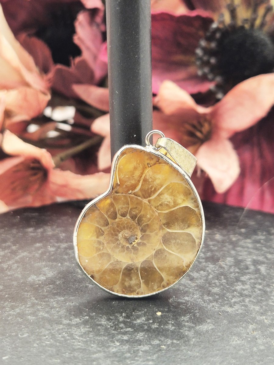 Edelsteen Ammoniet fossiel hanger met verzilverde rand