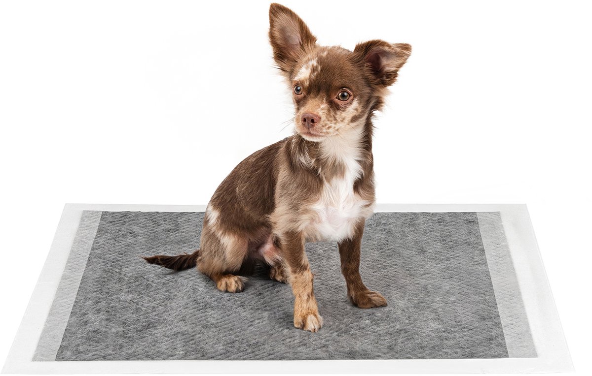 lionto puppy pads 60x60 cm, 6-laags, met actieve kool, 100 stuks