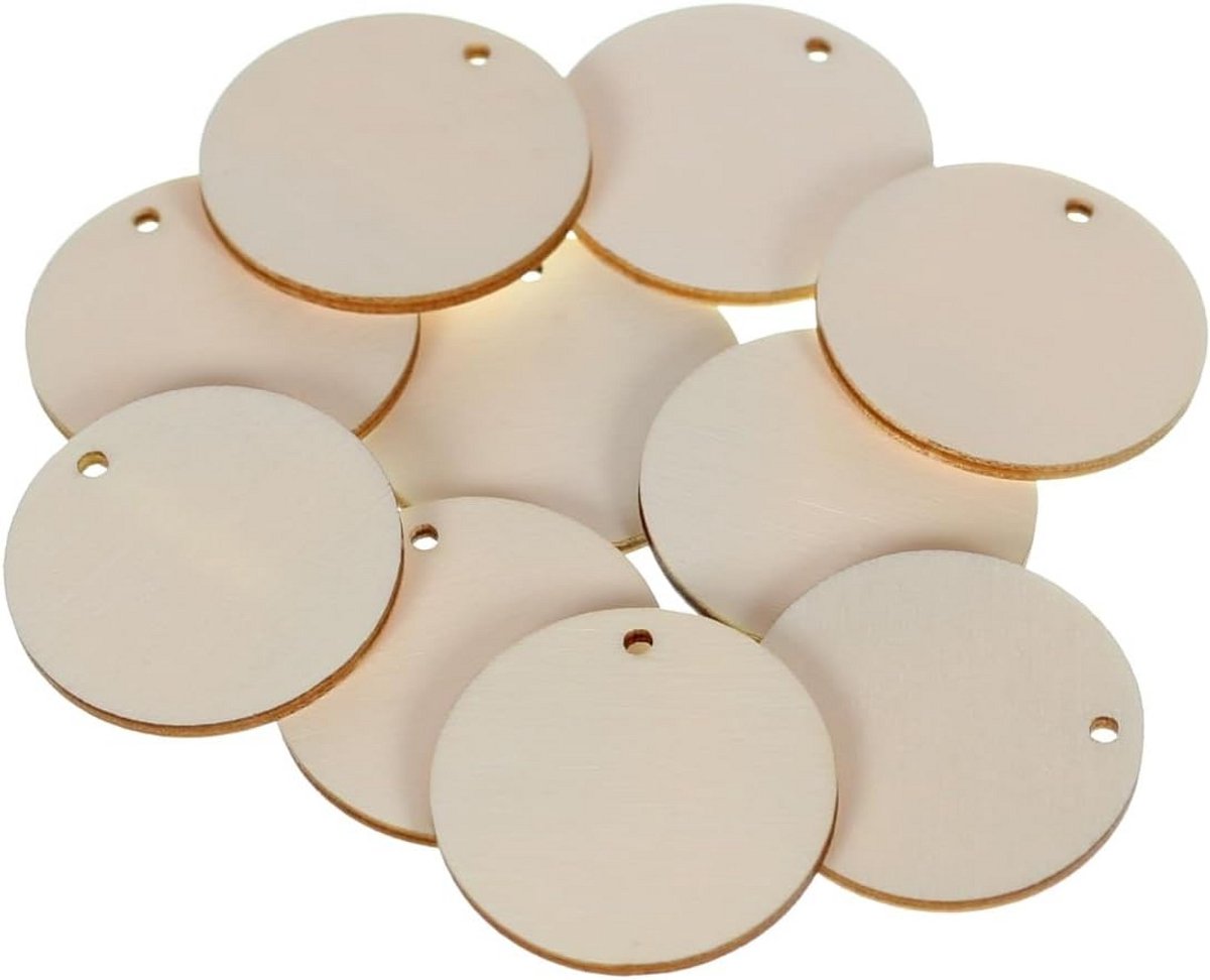 Houten schijven met gat voor knutselen en decoratie Ø 17 cm (10 stuks)