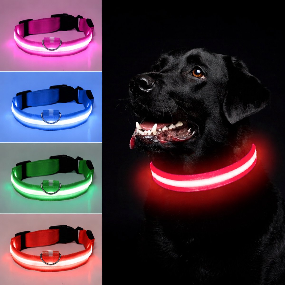 Honden halsband LED - Maat L - USB-oplaadbaar - 100% waterdicht - Rood - Halsband met verlichting - 3 verschillende standen - Lichtgevende hondenhalsband - Super helder licht - Voor huisdieren