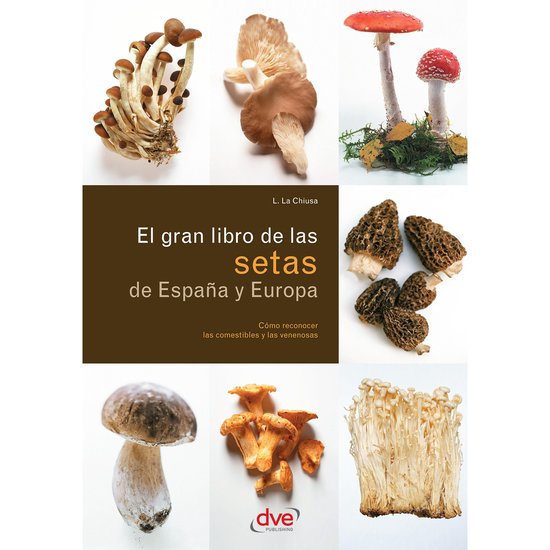 El gran libro de las setas de España y Europa - cover