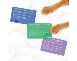 Gift Republic Kat persoonlijkheidstest