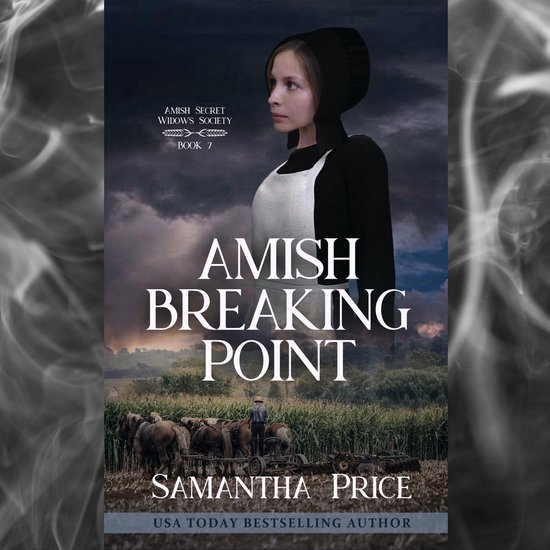 Amish Breaking Point - cover