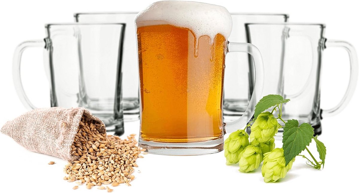 Set van 6 Bierglazen van 0,5L - Ideaal voor Feestjes