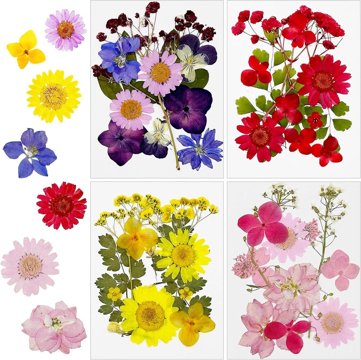 Cosensi - Gedroogde bloemen voor hars - DIY kaarsen en sieraden - 48 stuks
