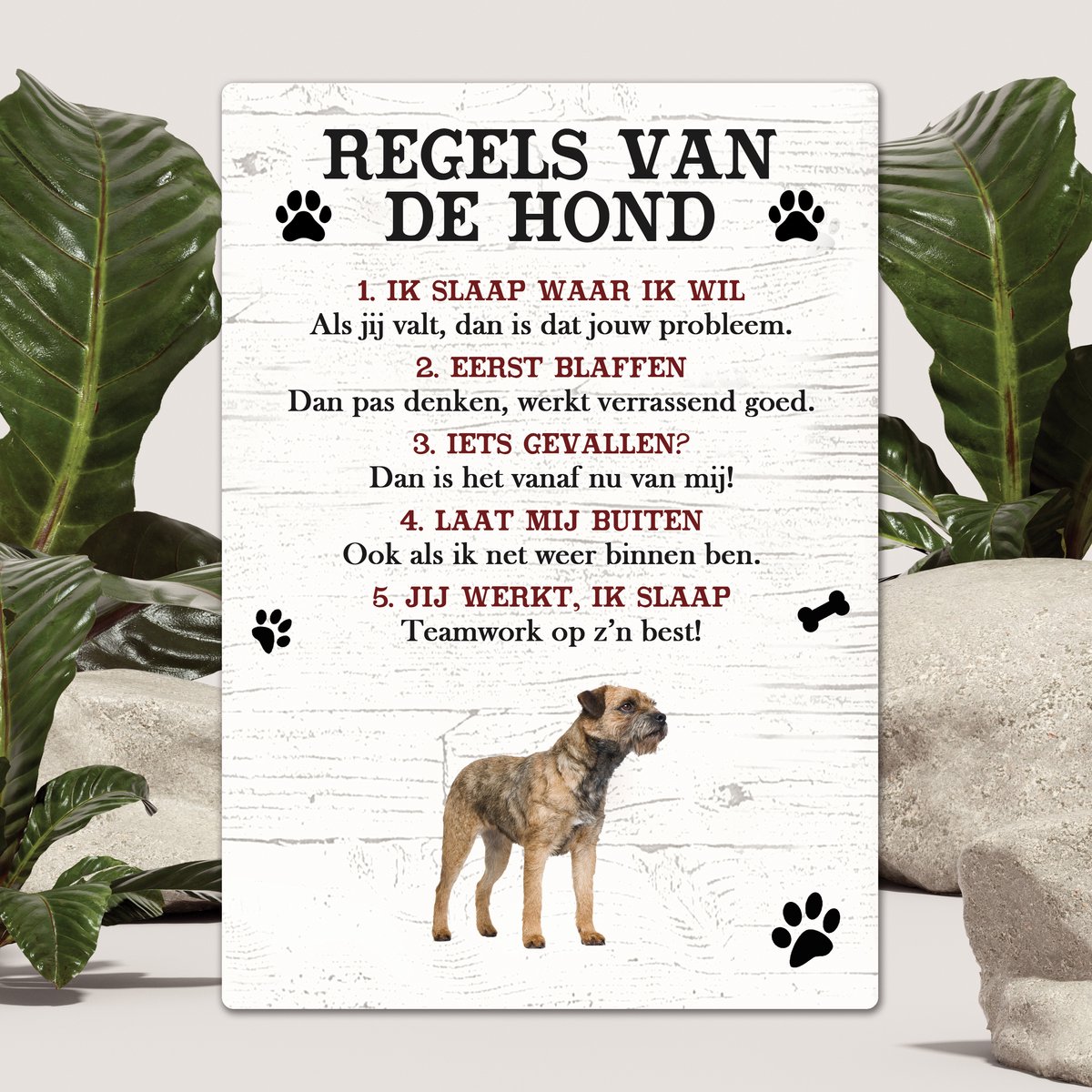 Spreuken - Border Terriër - Regels Van De Hond - Spreuken Bordjes - Spreukenbord - Tekstborden - Cadeau - Hondenras