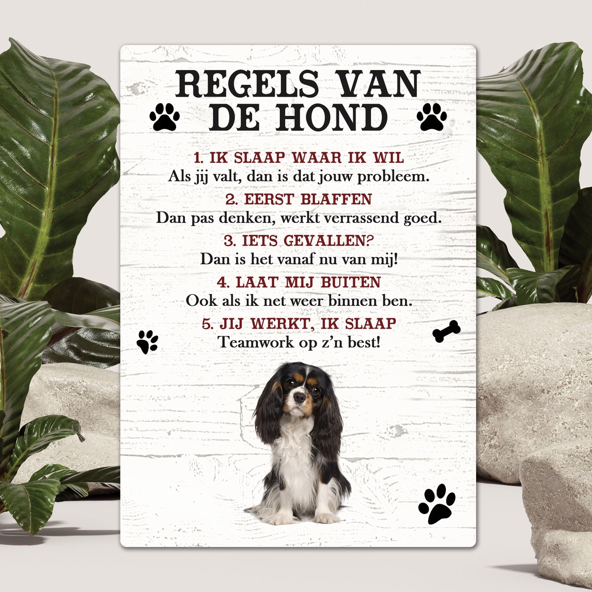 Spreuken - King Charles - Regels Van De Hond - Spreuken Bordjes - Spreukenbord - Tekstborden - Cadeau - Hondenras