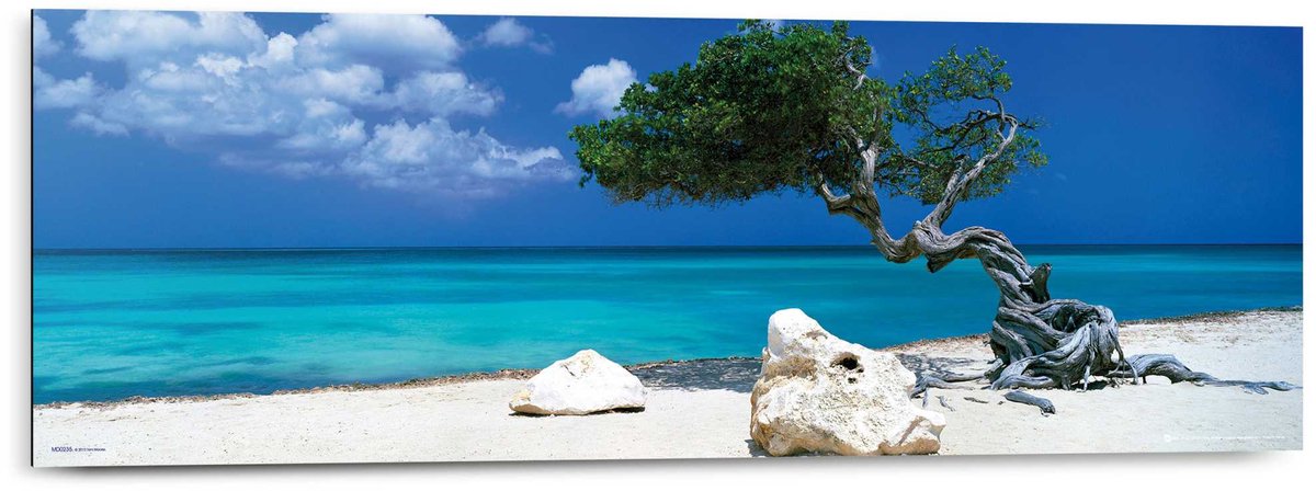 Schilderij Divi Divi boom - 30 x 90 - Hout - REINDERS