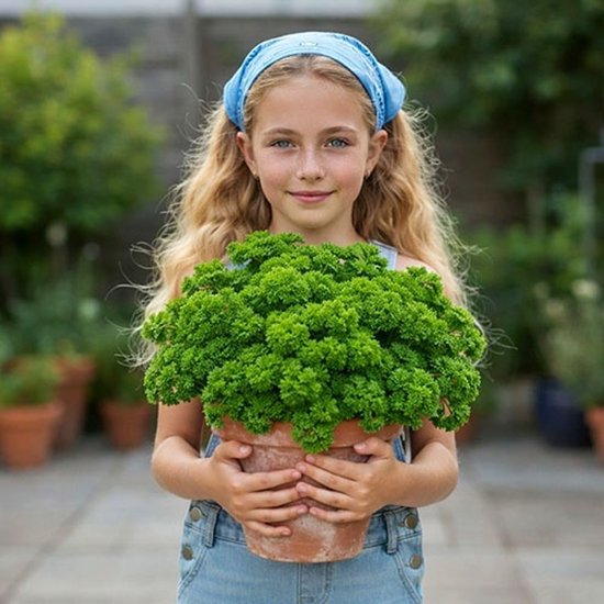 Bio Peterselie Moskrul