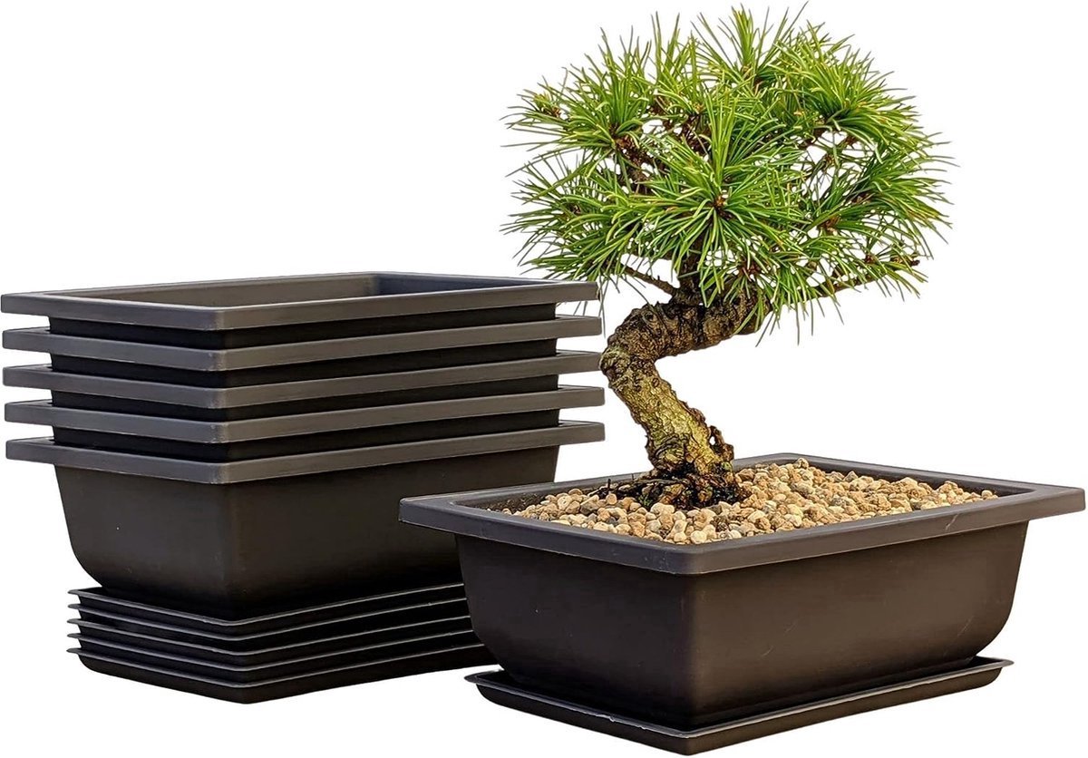 Stunq® Bonsai Trainingspotten Set van 6 - Duurzaam Kunststof met Trays voor Binnen en Buiten