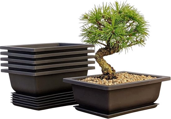 Stunq® Bonsai Trainingspotten Set van 6 - Duurzaam Kunststof met Trays voor Binnen en Buiten
