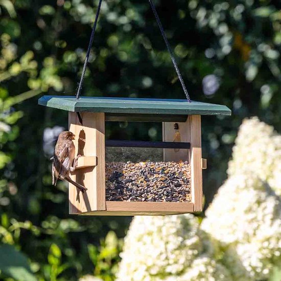 CJ Wildlife Vogelvoederhuisje voor Kleine Vogels & Tuinvogels - Eindhoven - Voederhuis van Hout - Hangend Voederhuisje - Groen