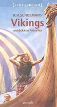 Vikings ontdekken Amerika