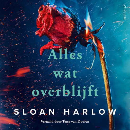 Alles wat overblijft - cover