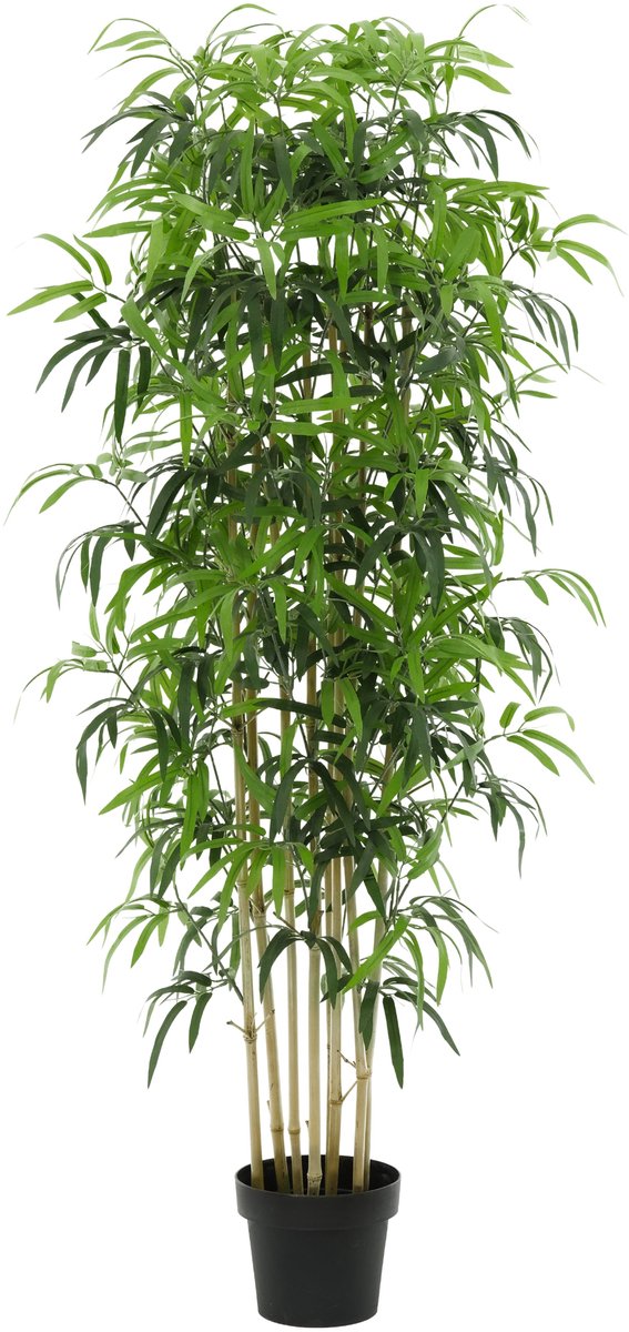 Florafy Kunstplant Bamboe 150cm - Kunstplanten voor binnen - Onderhoudsvrij Groen