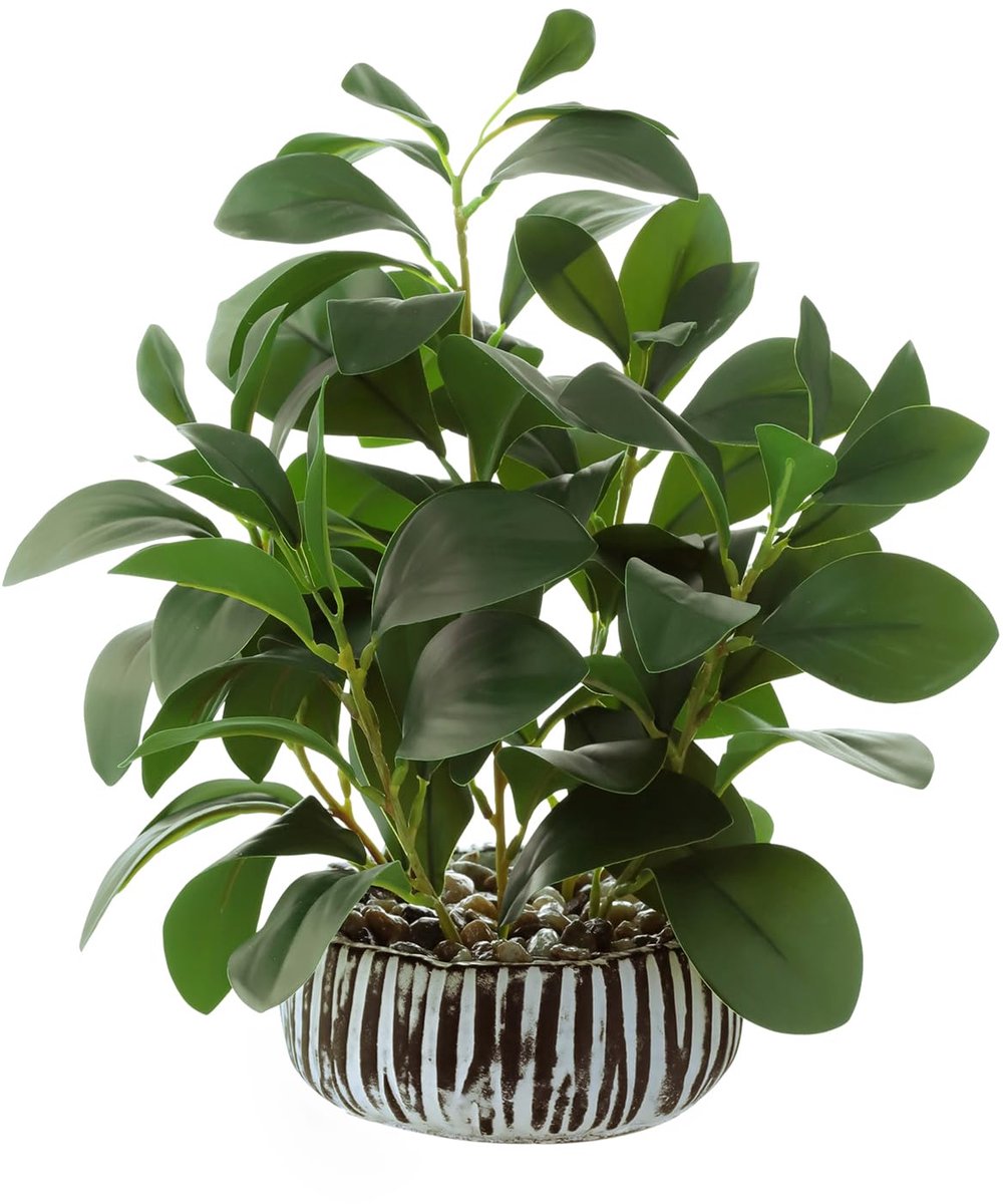 Unyqoos Decoratieve kunstplant Peperomia in stevige cementpot voor binnen en buiten Groen