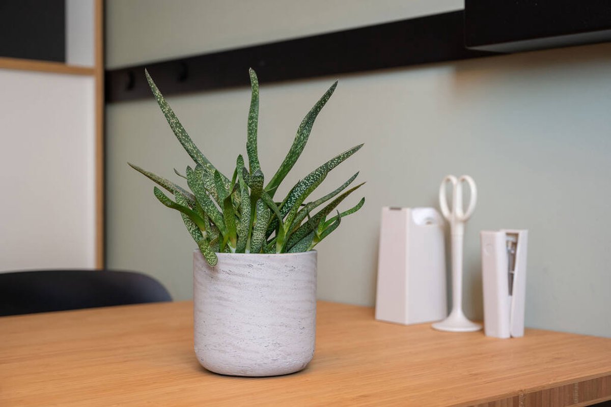 Pottery Pots Flower Pot - Grey - D32 x H31 cm - Opening 30 cm