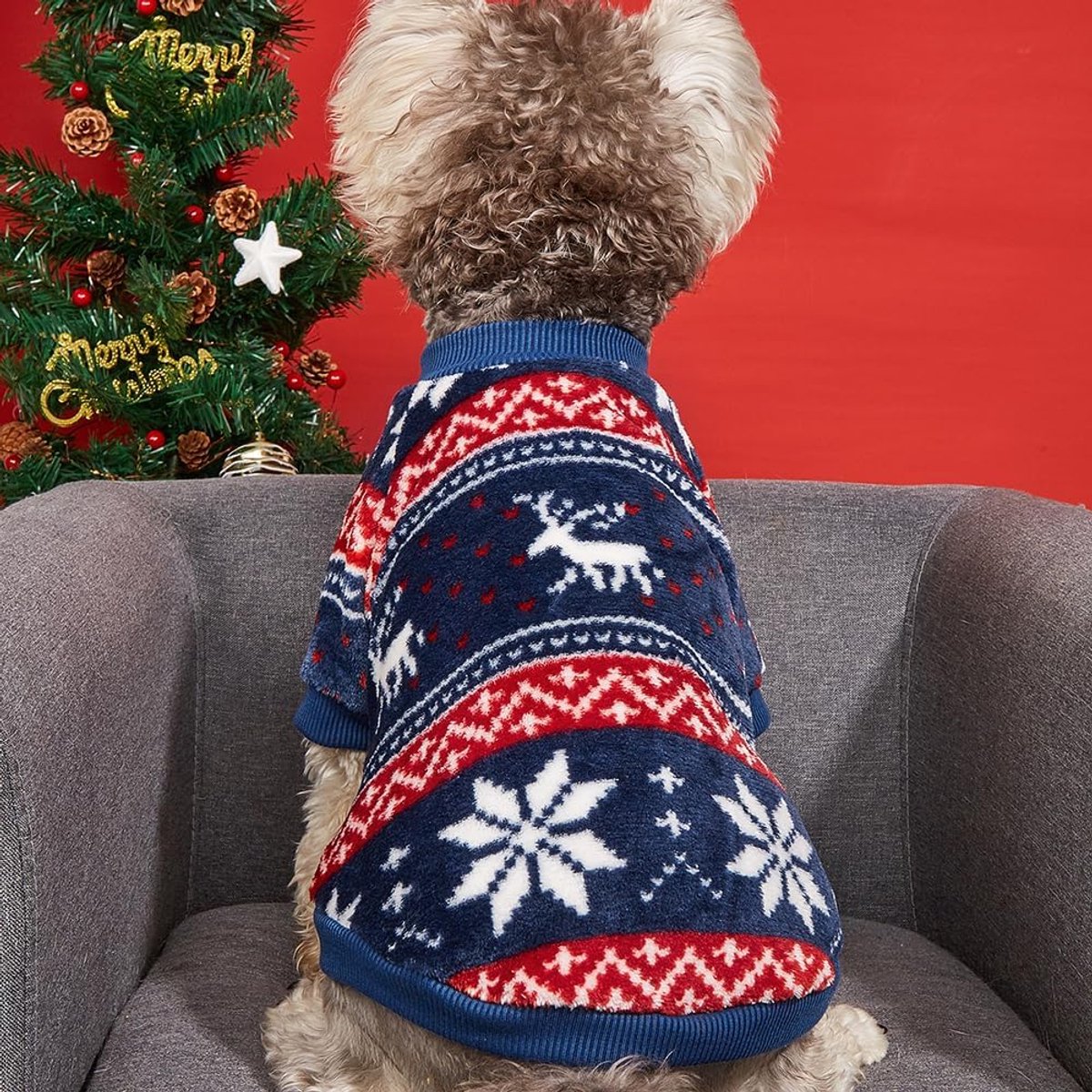 Trui voor kleine honden - Vintage folkloristische stijl - Dikke wol - Zacht en scheurbestendig ontwerp - Geschikt voor chihuahua's, poedels en teckels - Machinewasbaar — cadeau in Cadeau-ideeën - foto 3
