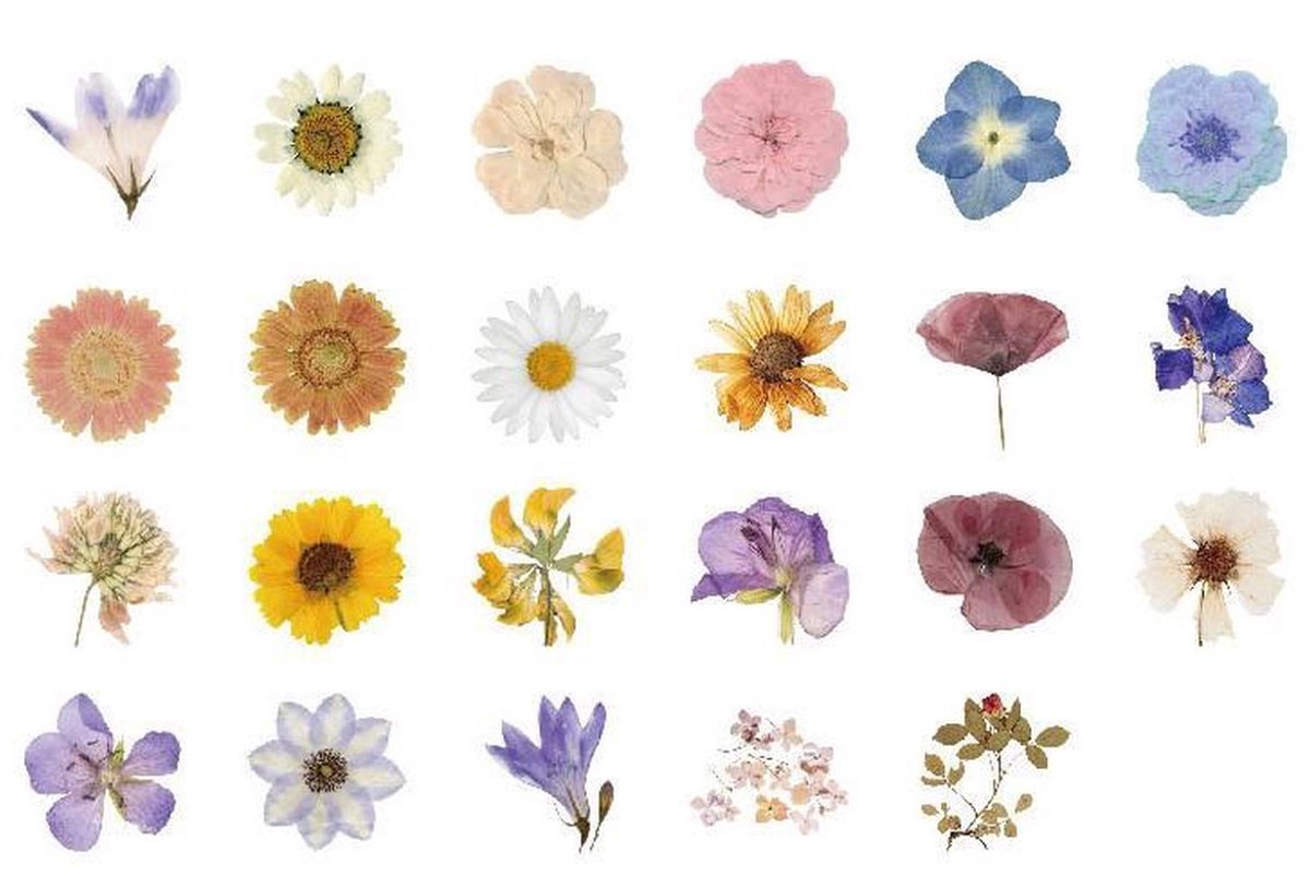 Scoby - Kleine Bloemen Stickers - Bloemenstickers - Sticker Mix Pack - Flower Stickers - 47 Stuks