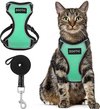 Groen Zootic kattentuigje en looplijn, met kat.