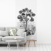 Behang - Fotobehang Bladeren - Zwart wit - Design - Palmboom - Breedte 120 cm x hoogte 240 cm