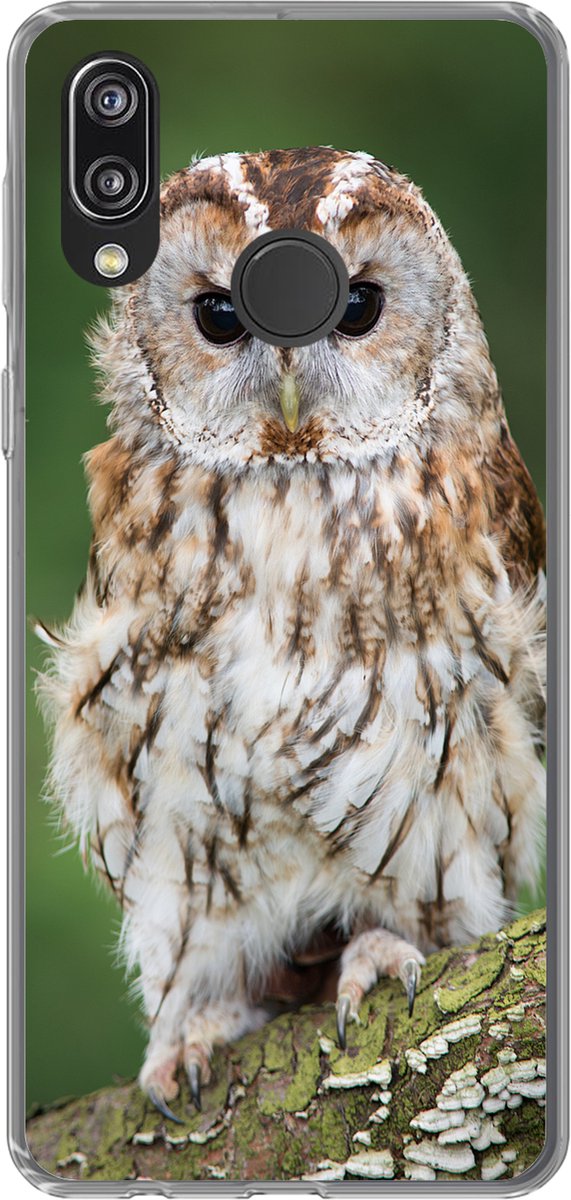 Telefoonhoesje Geschikt voor Huawei P20 Lite (2020) hoesje - Bruine uil zit op een boom - Siliconen Telefoonhoesje Telefoonhoesje