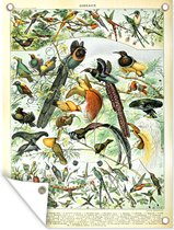 Tuin decoratie Vogels - Dier - Natuur - 30x40 cm - Tuindoek - Buitenposter