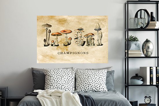 Stickers muraux - Champignon - Automne - Vintage - 120x80 cm - Feuille adhésive