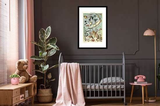 Cadre photo avec affiche - Mer - Animaux - Animaux aquatiques - 60x90 cm - Cadre pour affiche