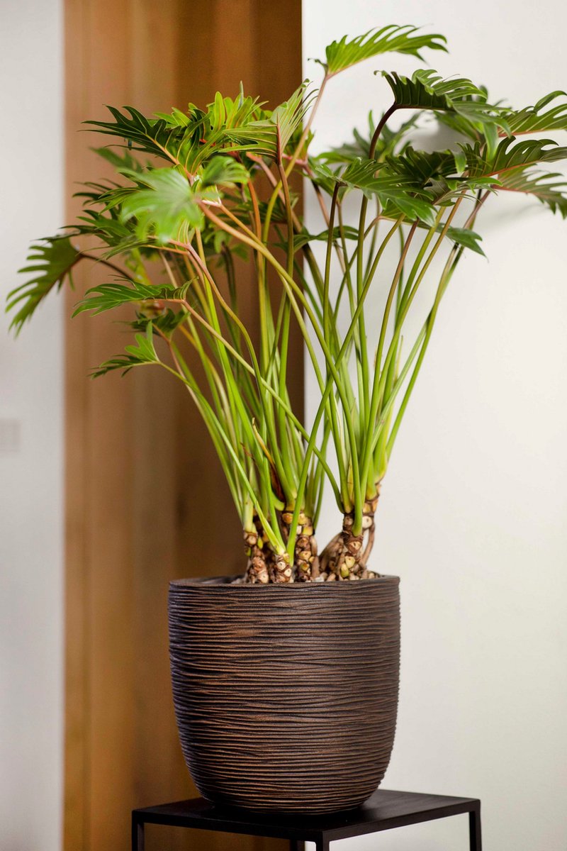 Capi Europe Flower Pot bowl Rib NL - 35x34 - Ivory