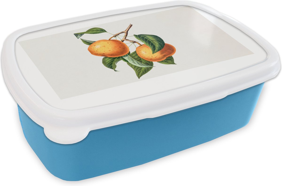 Broodtrommel Blauw - Lunchbox - Brooddoos - Fruit - Eten - Bladeren - 18x12x6 cm - Kinderen - Jongen